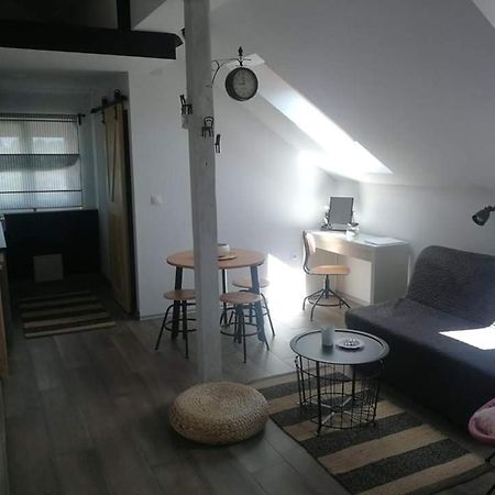 Studio Apartman Hana Apartman Drežnik Grad Kültér fotó