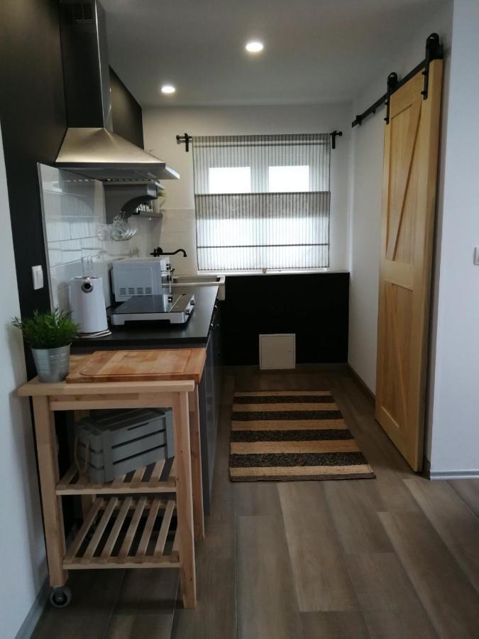 Studio Apartman Hana Apartman Drežnik Grad Kültér fotó