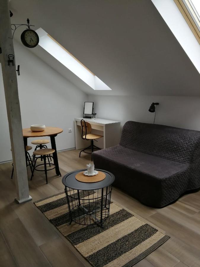 Studio Apartman Hana Apartman Drežnik Grad Kültér fotó