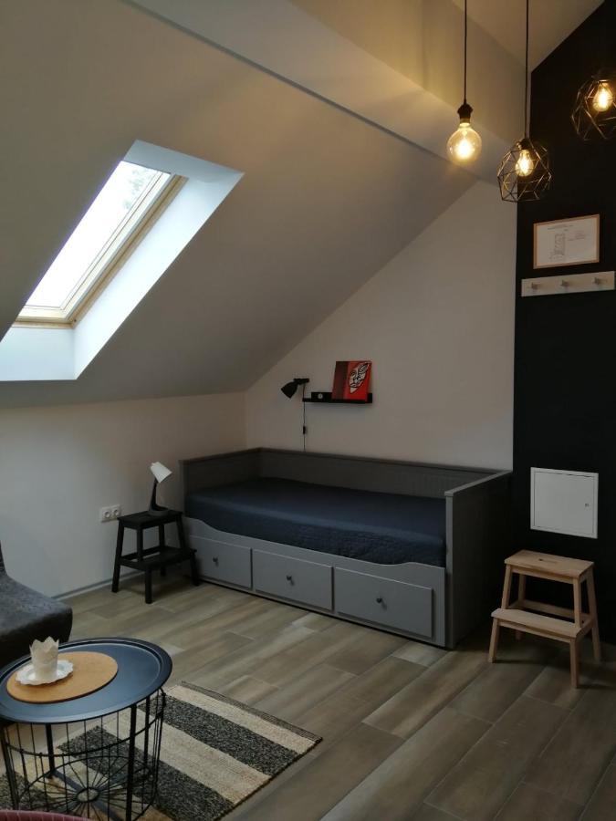 Studio Apartman Hana Apartman Drežnik Grad Kültér fotó