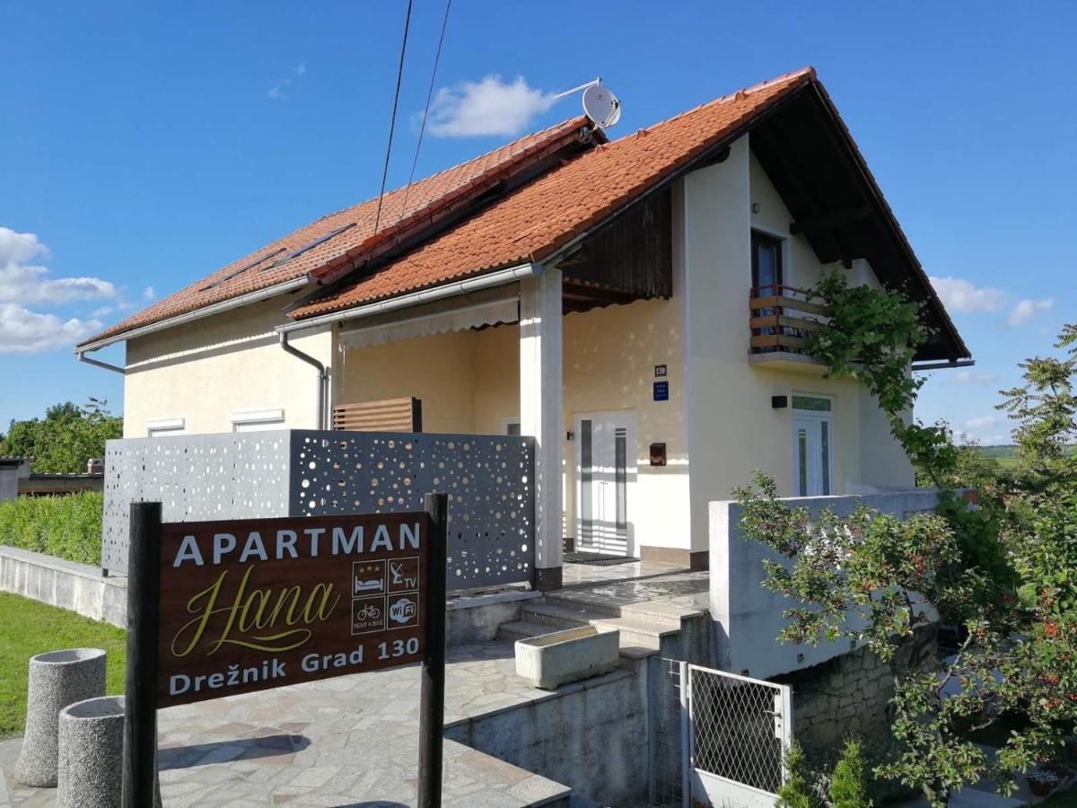 Studio Apartman Hana Apartman Drežnik Grad Kültér fotó