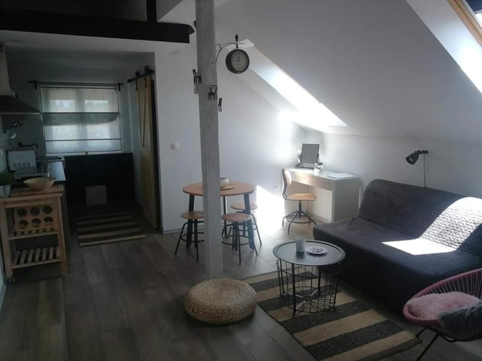 Studio Apartman Hana Apartman Drežnik Grad Kültér fotó