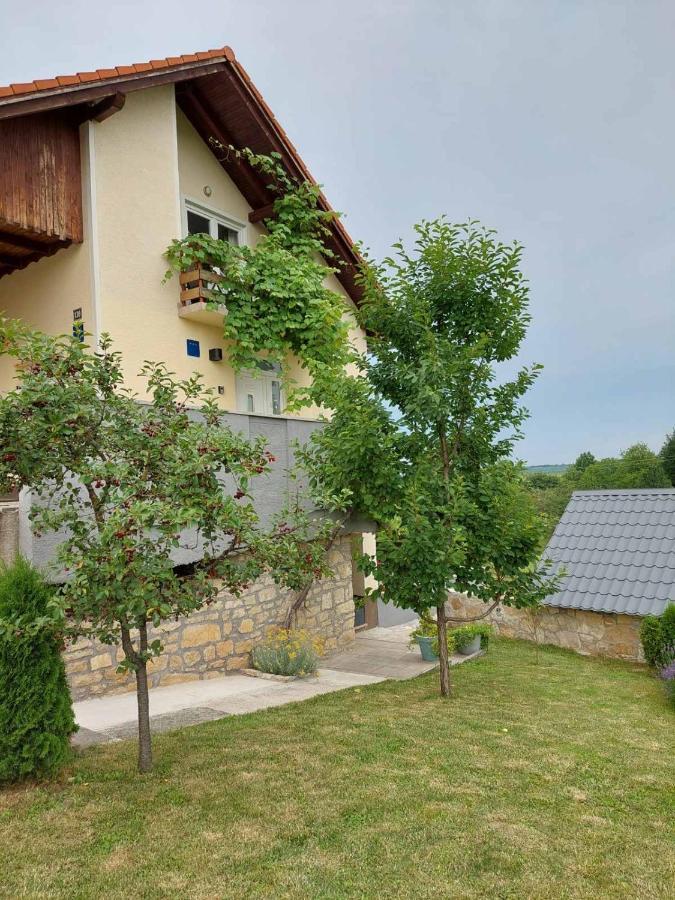 Studio Apartman Hana Apartman Drežnik Grad Kültér fotó